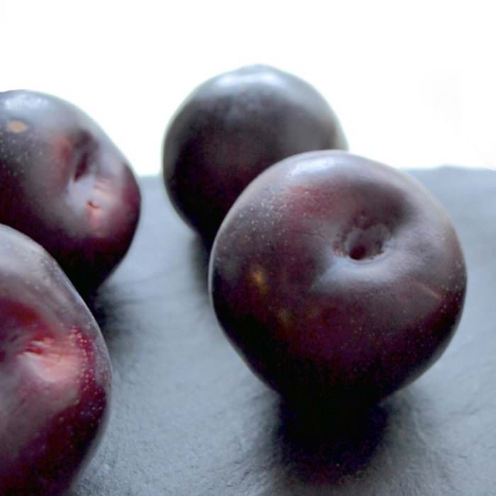 Tracy Sun Avrupa Eriği